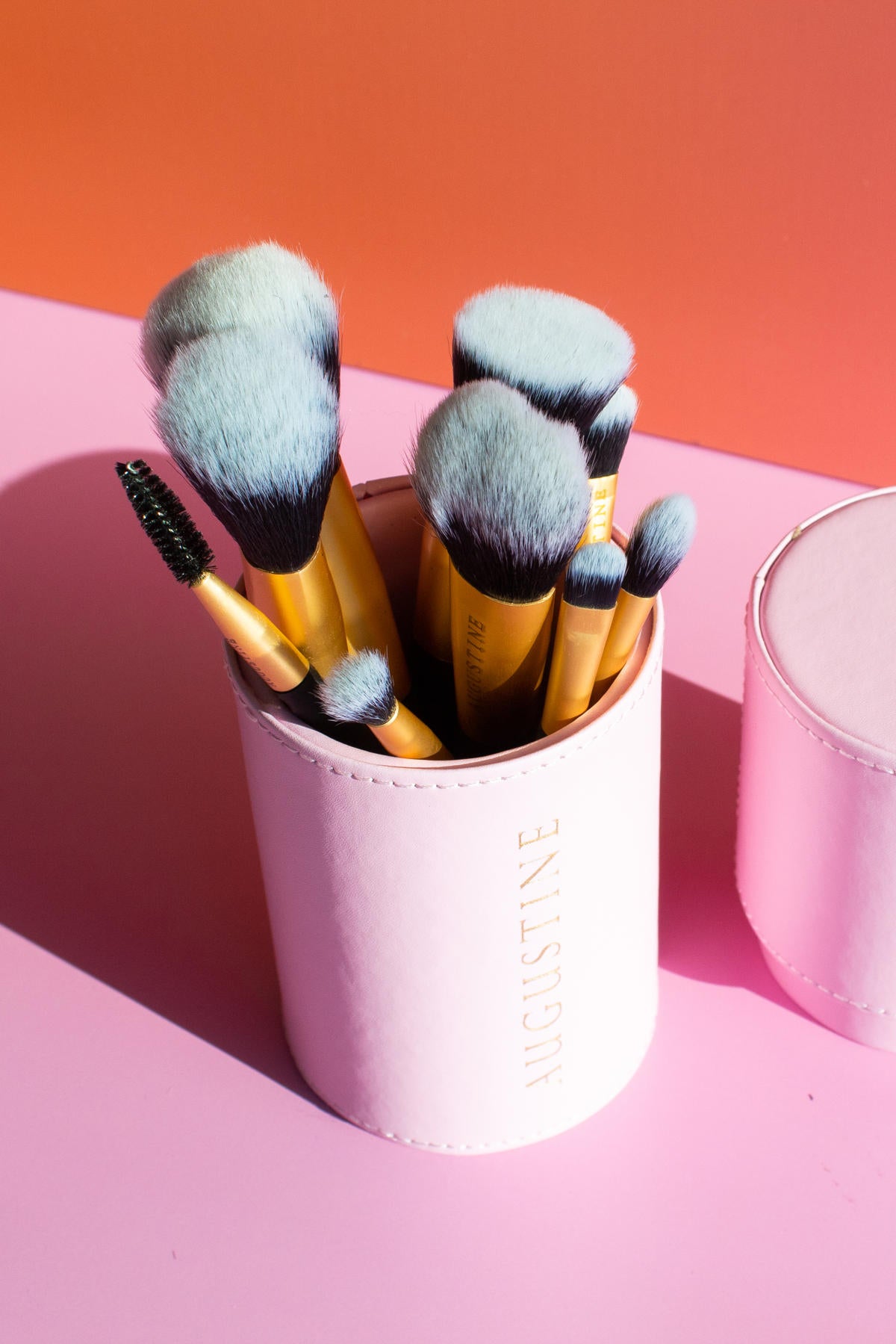 9 peice make up brush set in pink case