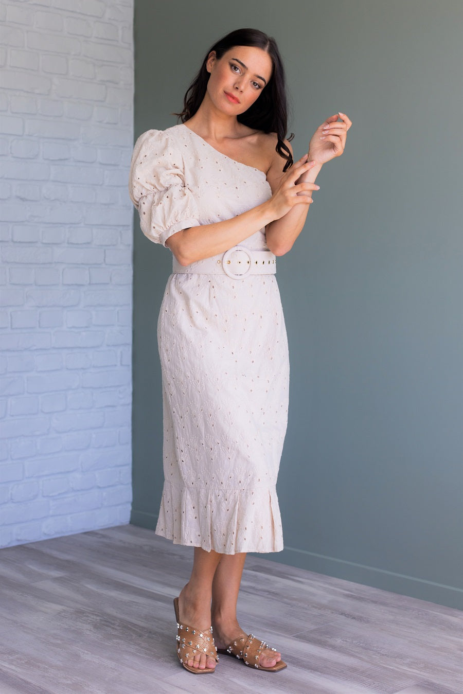 Puffy Sleeve Midi Dress